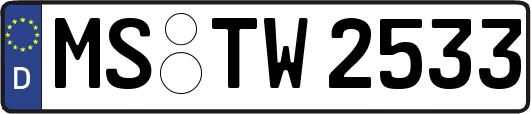 MS-TW2533