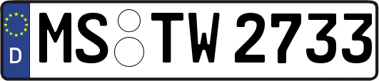 MS-TW2733