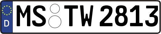 MS-TW2813