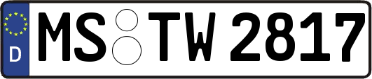 MS-TW2817