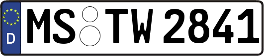 MS-TW2841