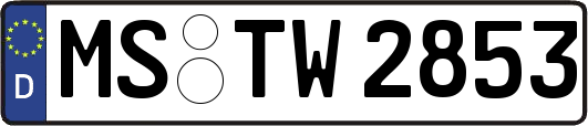 MS-TW2853