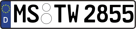 MS-TW2855