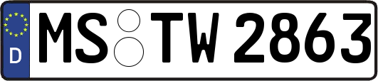 MS-TW2863