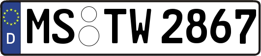 MS-TW2867