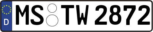 MS-TW2872