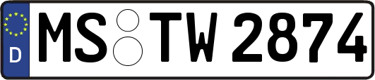 MS-TW2874