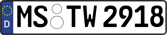 MS-TW2918
