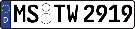 MS-TW2919