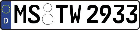MS-TW2933