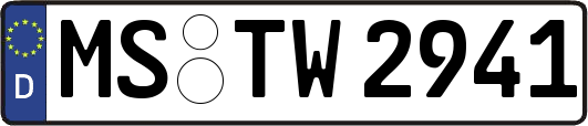 MS-TW2941