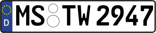 MS-TW2947