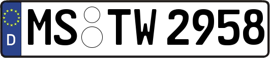 MS-TW2958