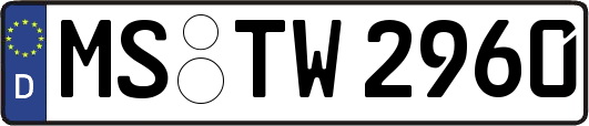 MS-TW2960