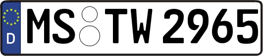 MS-TW2965