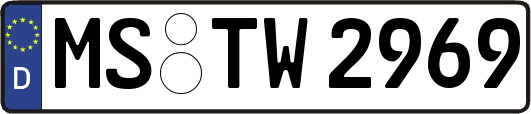 MS-TW2969