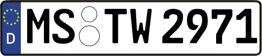MS-TW2971