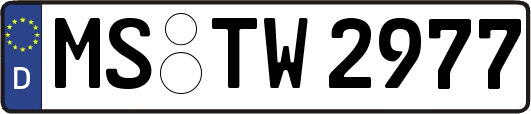 MS-TW2977