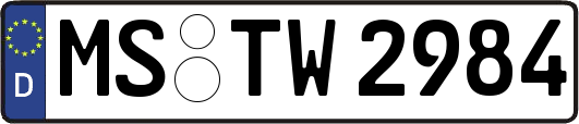MS-TW2984