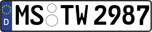 MS-TW2987