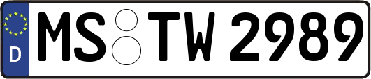 MS-TW2989