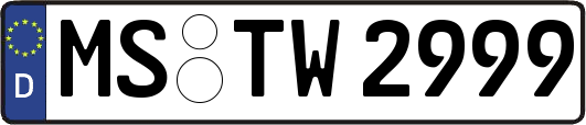 MS-TW2999