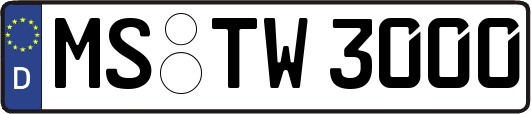 MS-TW3000