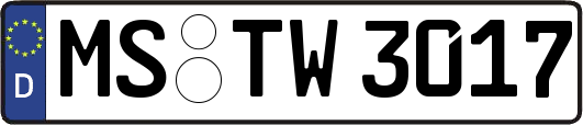 MS-TW3017