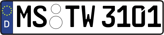 MS-TW3101