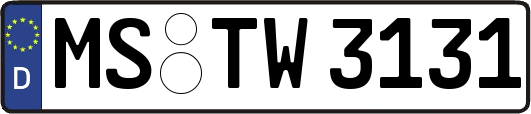MS-TW3131