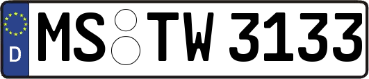 MS-TW3133
