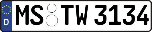 MS-TW3134