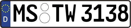 MS-TW3138