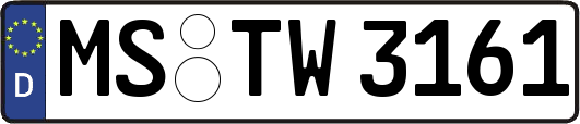 MS-TW3161