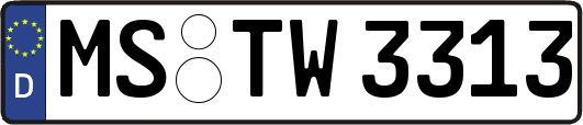 MS-TW3313