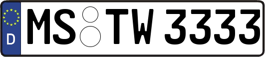 MS-TW3333