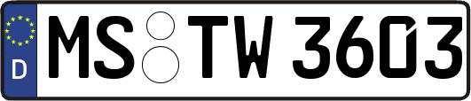 MS-TW3603