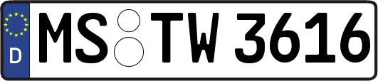 MS-TW3616