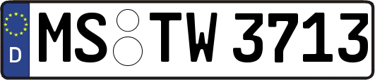 MS-TW3713