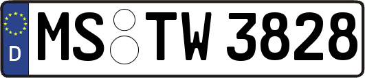 MS-TW3828