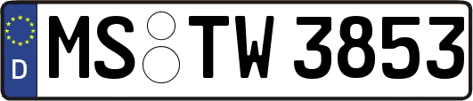 MS-TW3853