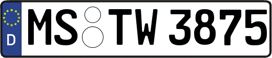 MS-TW3875
