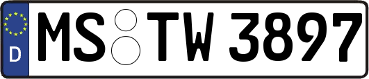 MS-TW3897
