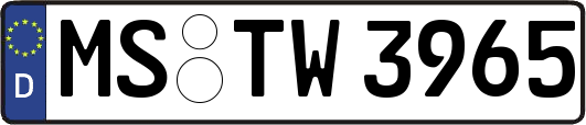 MS-TW3965