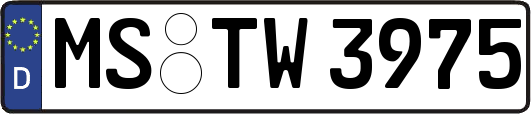 MS-TW3975