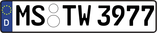 MS-TW3977
