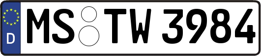 MS-TW3984