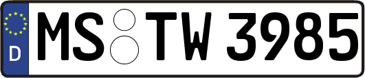 MS-TW3985