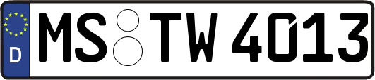 MS-TW4013