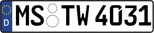 MS-TW4031